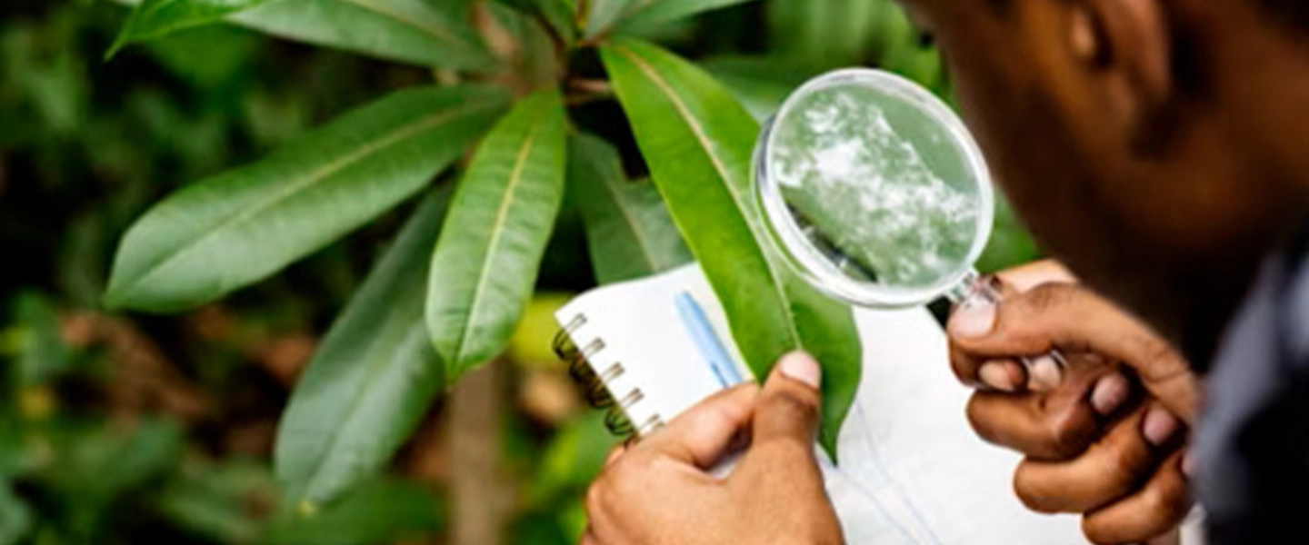 تقييم الأثر البيئي