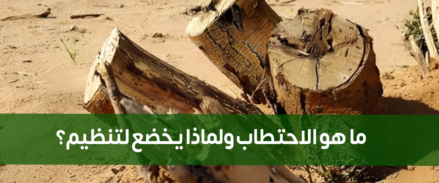 تصريح احتطاب