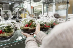 اشتراطات البيئة للمطاعم في رمضان